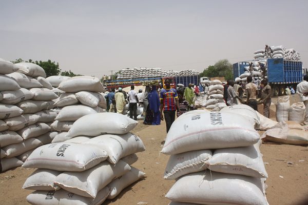 Collecte et diffusion — marché agricole au Niger